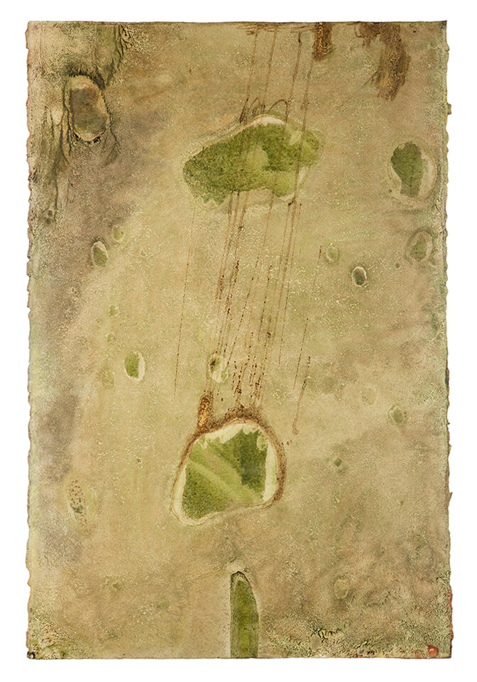 chontaduro papel 06.jpg